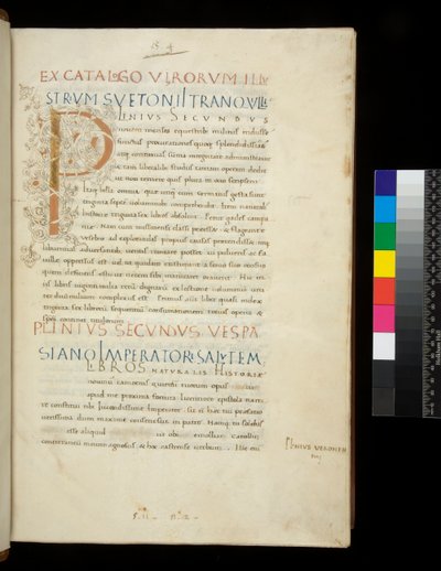 Ms 394,1. Idősebb Plinius, Historia naturalis, f.1r. Világító iniciálé [P] fehér szőlőszár díszítéssel (befejezetlen), Nápoly, 15. század közepe, 1442 körül (pergamen) alkotó: Neapolitan School