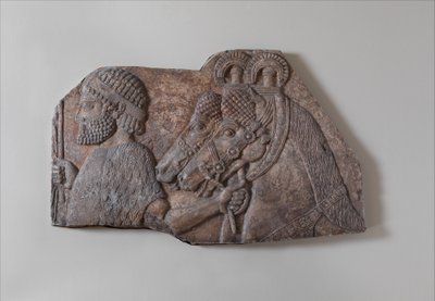 Foreign groom in a tributary procession, c.721-05 B.C. (gypsum alabaster) alkotó: Neo Assyrian Neo Assyrian