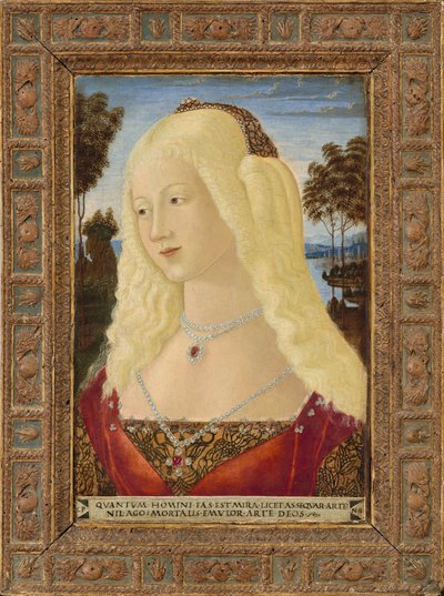 Hölgy portréja, c. 1485. alkotó: Neroccio de Landi