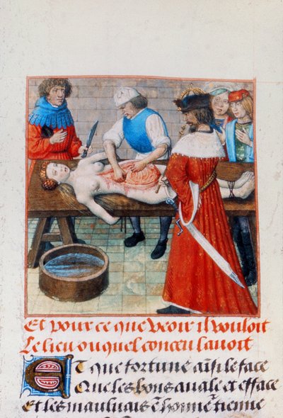 Harl 4425 Nero és anyja, a "Roman de la Rose"-ból, Bruges, 1490-1500 körül (vellum) alkotó: Netherlandish School