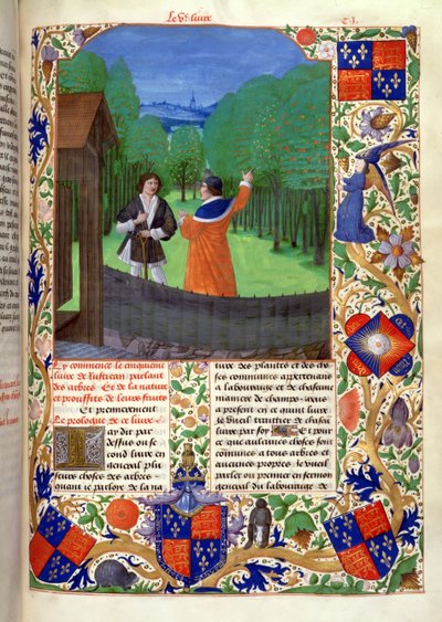 Roy 14 E VI f.110 Szerző beszédek egy kertészhez egy gyümölcsösben, a „Rustican du cultivement des terres”-ből, IV. Edward számára kivégezve, Bruges alkotó: Netherlandish School