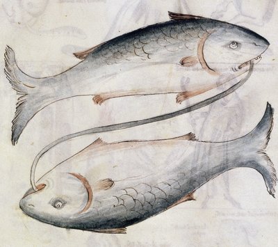 Sloane 3983 Halak rajza, Jafar ibn Muhammad (vellum) perzsa asztrológiai értekezésének fordításából alkotó: Netherlandish School