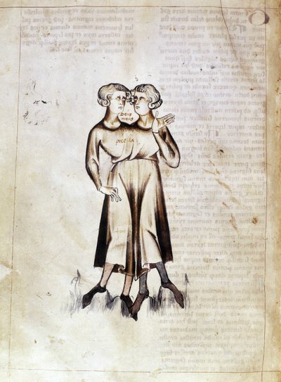 Sloane 3983 f.8v Ikrek rajza, Jafar ibn Muhammad (vellum) perzsa asztrológiai értekezésének fordításából alkotó: Netherlandish School