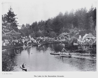 New Plymouth, Új-Zéland: The Lake in the Recreation Grounds (f/w fotó) alkotó: New Zealand Photographer