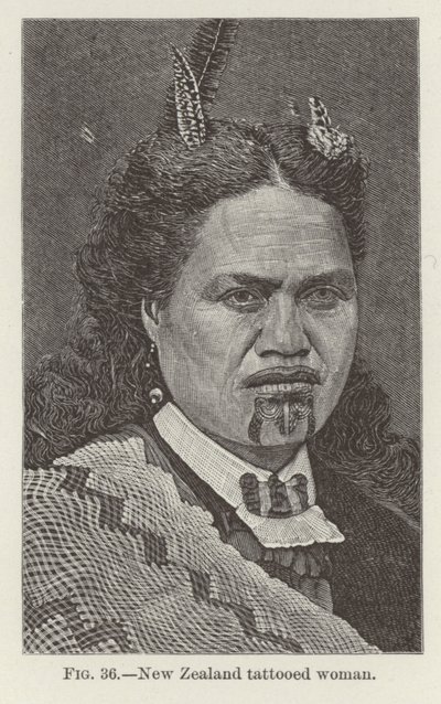 Új-zélandi tetovált nő alkotó: New Zealand School