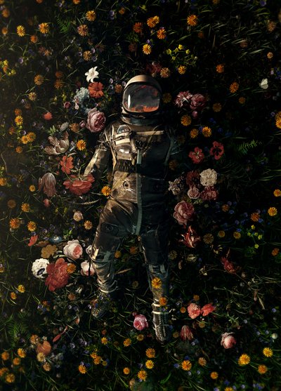 Kozmikus virágos álom alkotó: Nicebleed