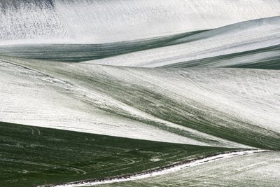  alkotó: Nicola Figliuolo