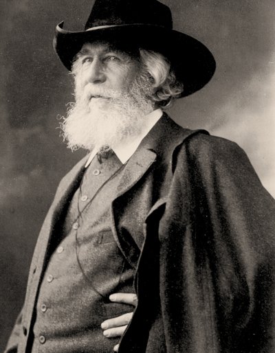 Ernst Haeckel portréja, 1910 körül (fotó) alkotó: Nicola Perscheid