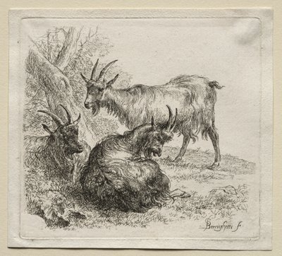 Animalia: Három kecske alkotó: Nicolaes Berchem