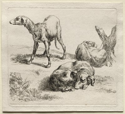 Animalia: Három vadászkutya alkotó: Nicolaes Berchem