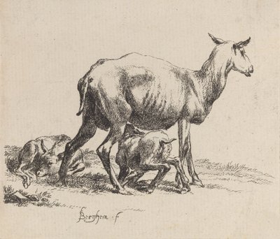 Ewe Nursing Her Lamb. alkotó: Nicolaes Berchem