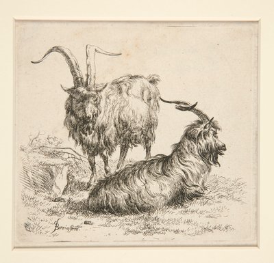 Kecske (tól alkotó: Nicolaes Berchem