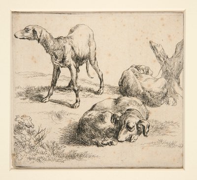 Három vadászkutya (tól alkotó: Nicolaes Berchem