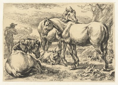 Három ló Állatok (sorozat címe) alkotó: Nicolaes Pietersz Berchem