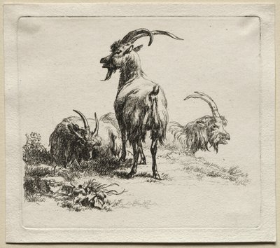 Három kecske. alkotó: Nicolaes Pietersz. Berchem