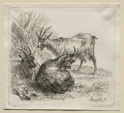 Három kecske. alkotó: Nicolaes Pietersz. Berchem