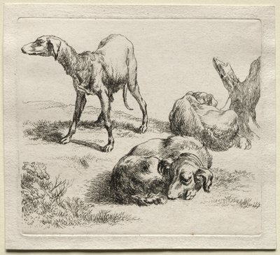Három vadászkutya. alkotó: Nicolaes Pietersz. Berchem