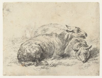 Twee ligende schapen bárány (sorozat címe) Az erős levegő által életre keltett és vízbe nyomott állatok a Nicolai Berchem Stúdió és Művészet által (sorozat címe) alkotó: Nicolaes Pietersz Berchem