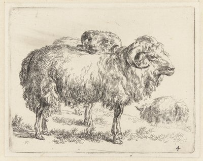 Twee rammen en een schaap Schapen (sorozat címe) Az erős levegő által életre keltett és vízbe nyomott állatok a Nicolai Berchem Stúdió és Művészet által (sorozat címe) alkotó: Nicolaes Pietersz Berchem