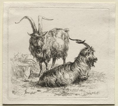 Két kecske. alkotó: Nicolaes Pietersz. Berchem