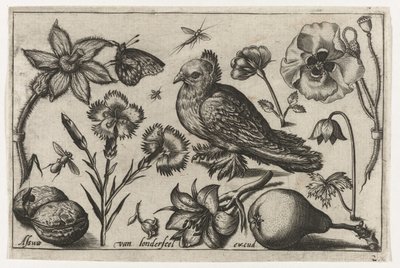 Virágok, egy körte és egy galamb Madarak, virágok, rovarok stb. (sorozat címe) alkotó: Nicolaes de Bruyn (possibly)