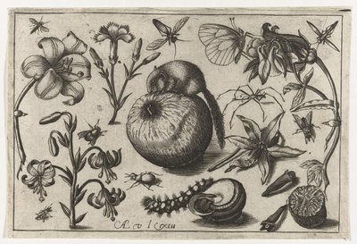 Virágok és egy egér egy almán Madarak, virágok, rovarok stb. (sorozat címe) alkotó: Nicolaes de Bruyn (possibly)