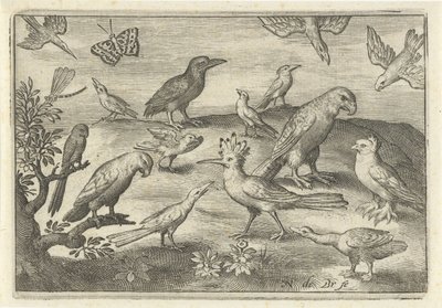 Komló és egyéb madarak Madarak és rovarok (sorozat címe) alkotó: Nicolaes de Bruyn