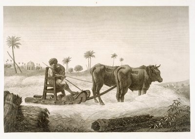 Kukorica betakarítása, az "Egyiptom leírása" II. kötetéből, a kocsma. Napóleon parancsára, 1822 alkotó: Nicolas Jacques Conte