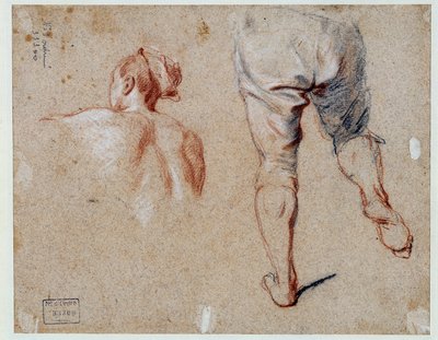 Anatómiai tanulmányok Nicolas Vleughels (1668-1737) olajrajza 18. századi Párizs, Louvre Múzeum alkotó: Nicolas Vleughels
