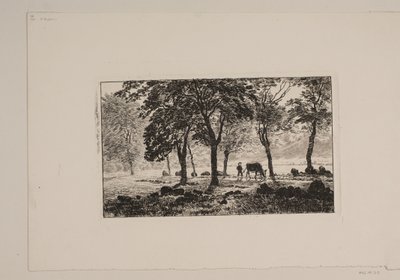 A sugárút alkotó: Niels Skovgaard