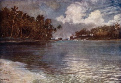 Zátony és pálma által (színes litó) alkotó: Norman Hardy