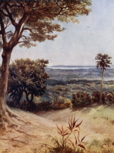 Havannah Harbour, Rathmoy, Új-Hebridák (színes litho) alkotó: Norman Hardy