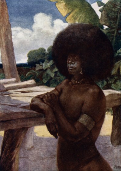 Brit Új-Guineából származik, bemutatja a hajviselet módját (színes litho) alkotó: Norman Hardy