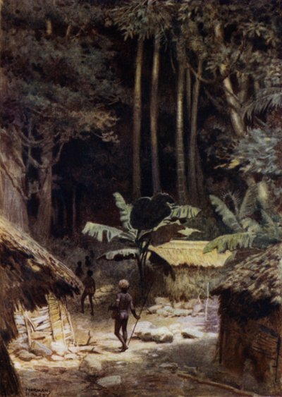 Egy őserdő peremén, Salamon-szigeteken (színes litho) alkotó: Norman Hardy