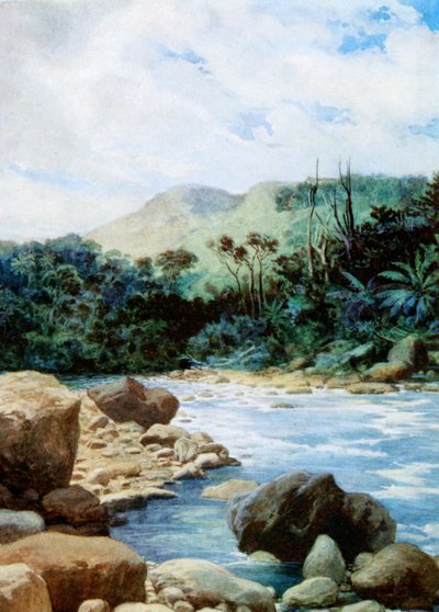Tájkép Eromangában, Új-Hebridákon, 1908 alkotó: Norman Hardy