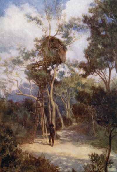 Faház Brit Új-Guineában (színes litho) alkotó: Norman Hardy