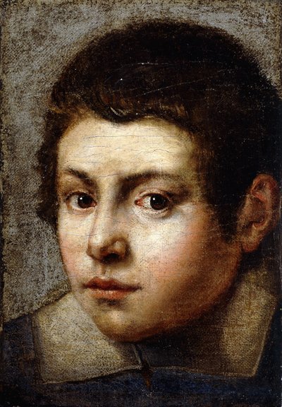 Egy fiú feje alkotó: Northern Italian School
