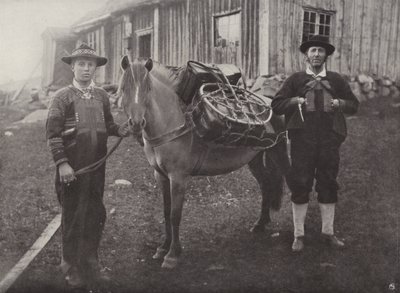 Saetersdalen Highlanders Pack-Horse-val alkotó: Norwegian Photographer