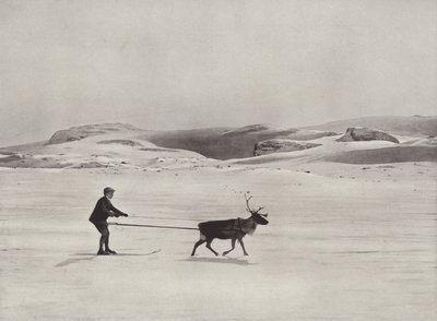 Sívezetés rénszarvasokkal a hegyekben alkotó: Norwegian Photographer