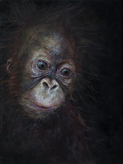 Baby orangután 3, 2015 (akril, fa) alkotó: Odile Kidd