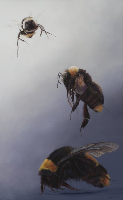 Bombus repülés 2, 2011 (akril, fa) alkotó: Odile Kidd