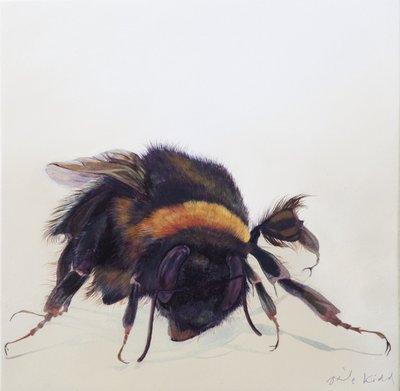Bombus terrestris 9, 2013 (akril, fa) alkotó: Odile Kidd