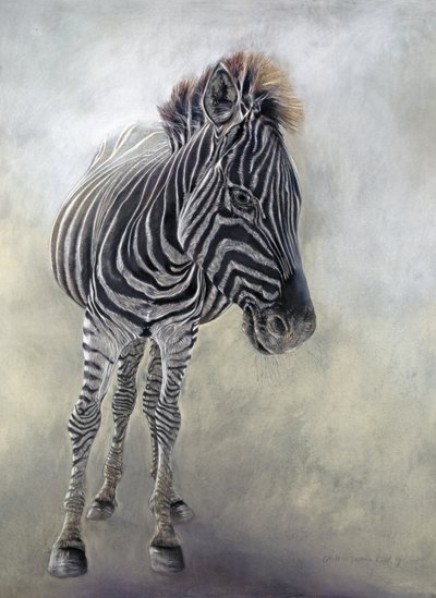 Equus burchelli 1, 2009 (szén, konteó és krétapasztell Bockingford papírra) alkotó: Odile Kidd