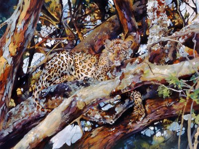 Kenyai leopárd alkotó: Odile Kidd