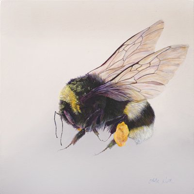 Pollen sac 2, 2011 (akril, fa) alkotó: Odile Kidd