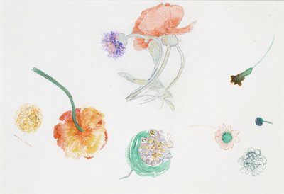 Virágvázlat alkotó: Odilon Redon
