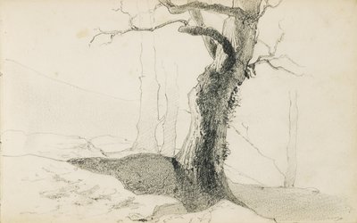 A "The Basque Country", 1862-63 című albumból merítve alkotó: Odilon Redon