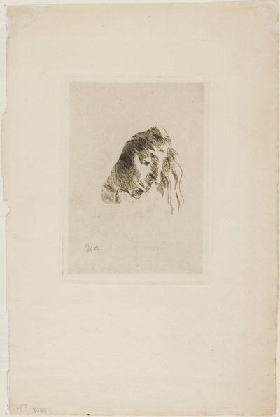 A könyvekből alkotó: Odilon Redon
