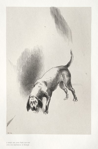Olyan furcsa kifejezéssel nézett rám alkotó: Odilon Redon