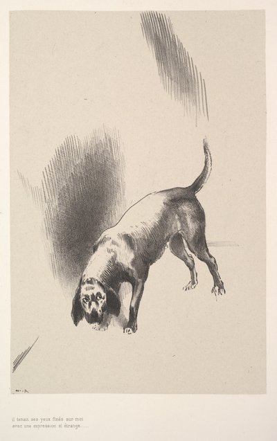 Olyan furcsa arckifejezéssel szegezte rám a tekintetét, 1896. alkotó: Odilon Redon